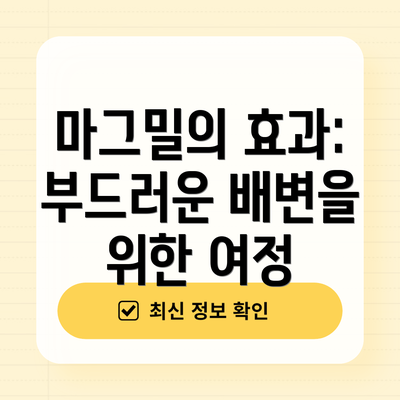 마그밀의 효과: 부드러운 배변을 위한 여정