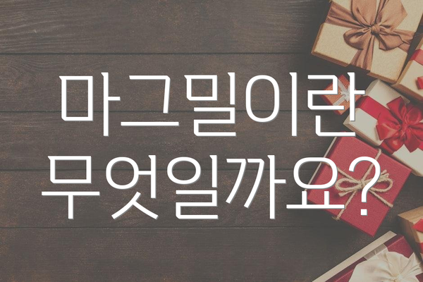 마그밀이란 무엇일까요?