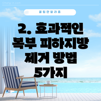 2. 효과적인 복부 피하지방 제거 방법 5가지