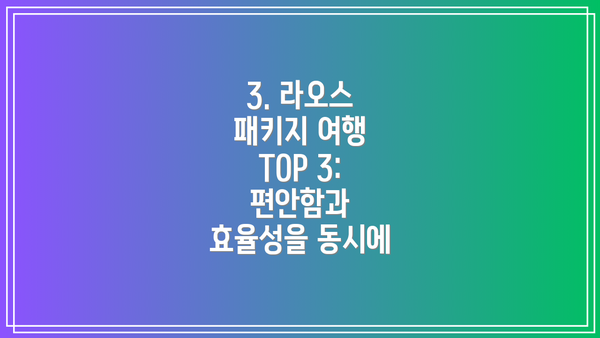 3. 라오스 패키지 여행 TOP 3:  편안함과 효율성을 동시에
