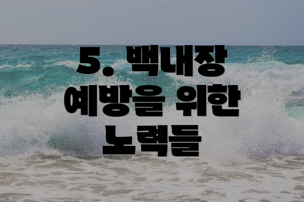 5. 백내장 예방을 위한 노력들