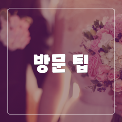 방문 팁