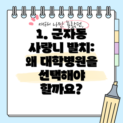 1. 군자동 사랑니 발치: 왜 대학병원을 선택해야 할까요?