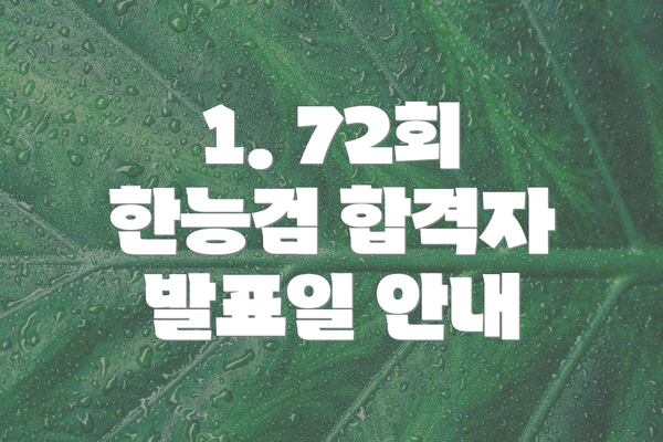 1. 72회 한능검 합격자 발표일 안내
