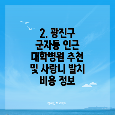 2. 광진구 군자동 인근 대학병원 추천 및 사랑니 발치 비용 정보