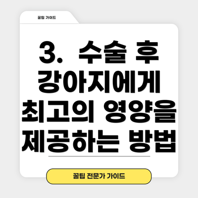 3.  수술 후 강아지에게 최고의 영양을 제공하는 방법