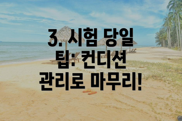 3. 시험 당일 팁: 컨디션 관리로 마무리!