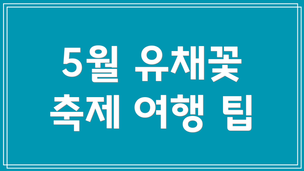 5월 유채꽃 축제 여행 팁