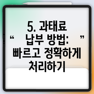 5. 과태료 납부 방법: 빠르고 정확하게 처리하기