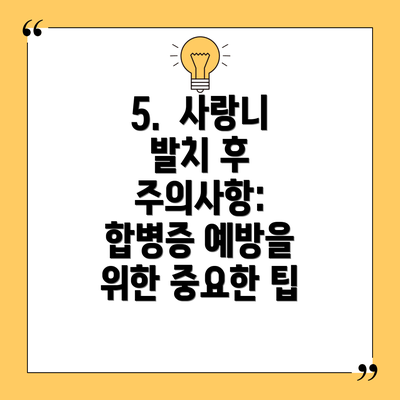 5.  사랑니 발치 후 주의사항:  합병증 예방을 위한 중요한 팁