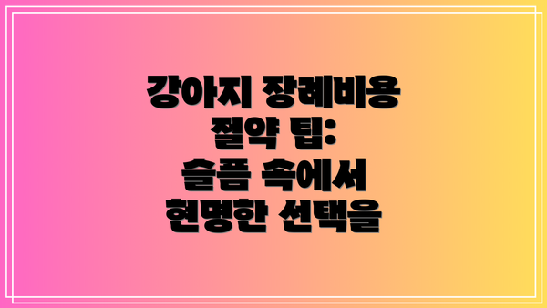 강아지 장례비용 절약 팁:  슬픔 속에서 현명한 선택을