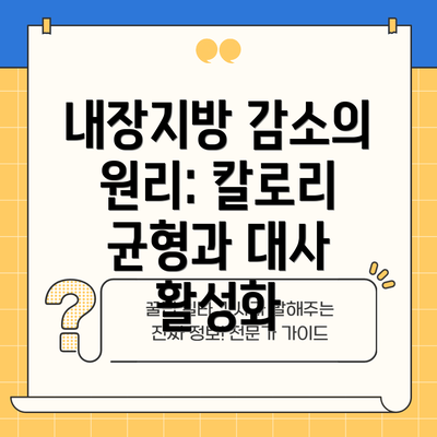 내장지방 감소의 원리: 칼로리 균형과 대사 활성화