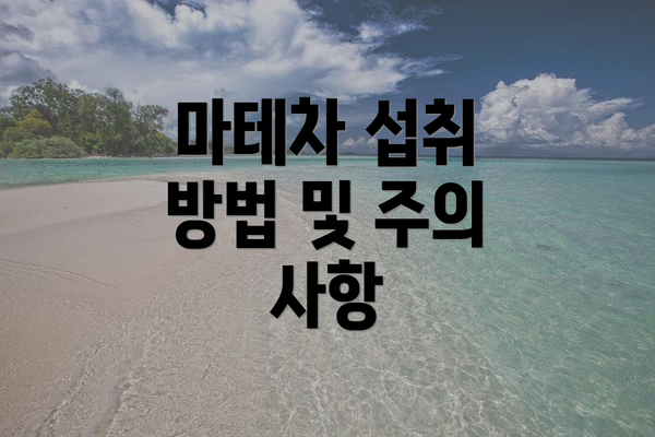 마테차 섭취 방법 및 주의 사항