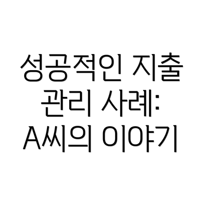성공적인 지출 관리 사례: A씨의 이야기