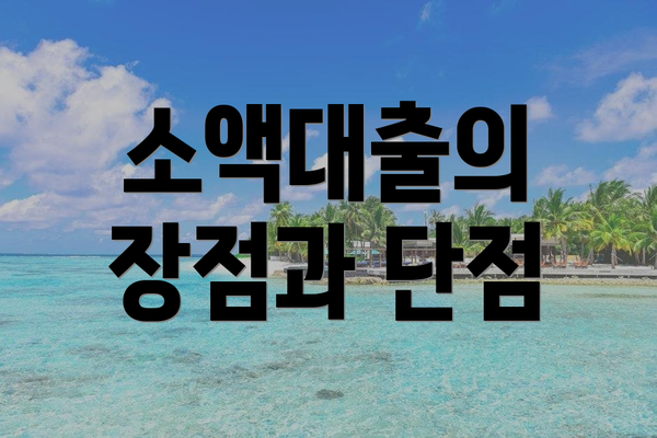 소액대출의 장점과 단점