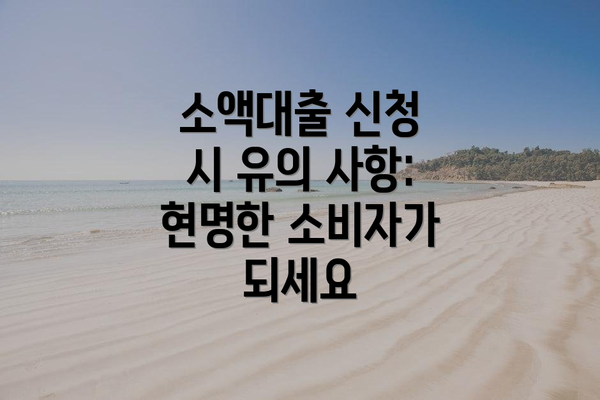 소액대출 신청 시 유의 사항: 현명한 소비자가 되세요
