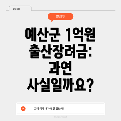예산군 1억원 출산장려금: 과연 사실일까요?