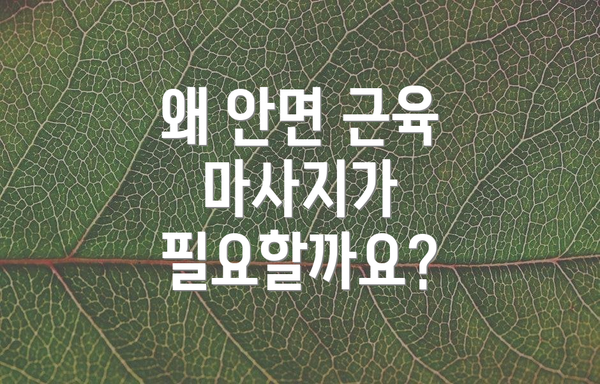 왜 안면 근육 마사지가 필요할까요?