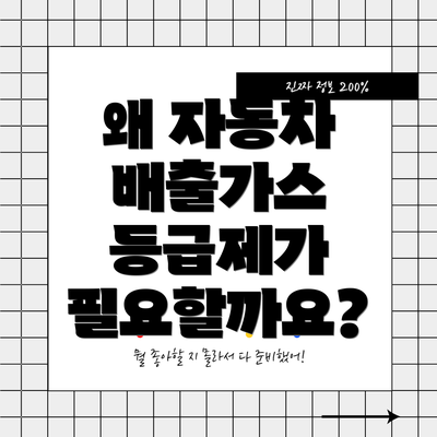 왜 자동차 배출가스 등급제가 필요할까요?