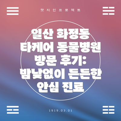 일산 화정동 타케어 동물병원 방문 후기: 밤낮없이 든든한  안심 진료
