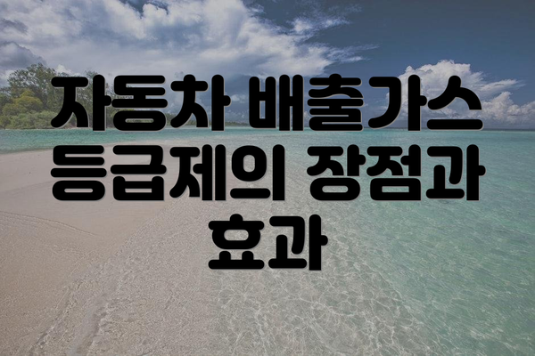 자동차 배출가스 등급제의 장점과 효과