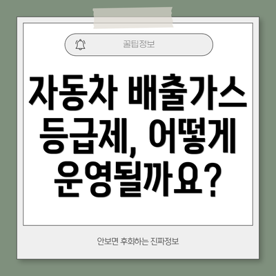 자동차 배출가스 등급제, 어떻게 운영될까요?