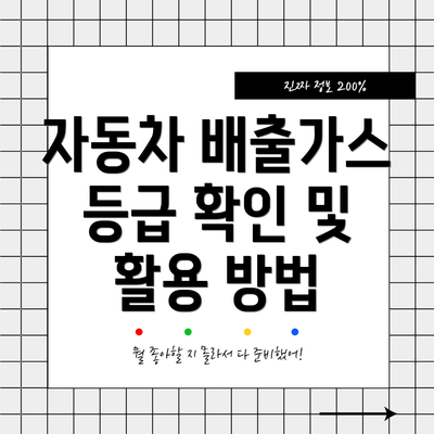 자동차 배출가스 등급 확인 및 활용 방법