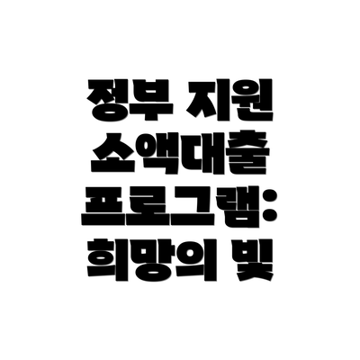 정부 지원 소액대출 프로그램: 희망의 빛