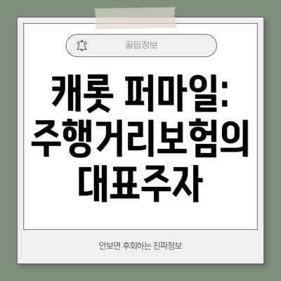 캐롯 퍼마일: 주행거리보험의 대표주자