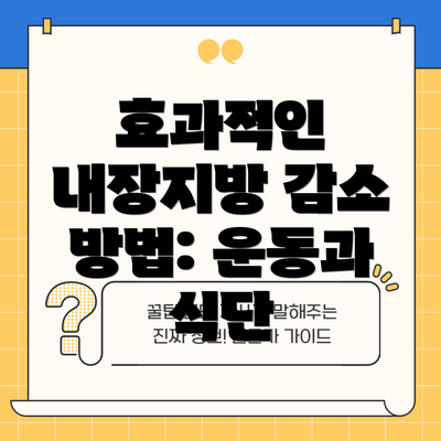 효과적인 내장지방 감소 방법: 운동과 식단