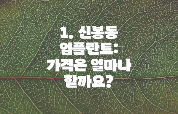 1. 신봉동 임플란트: 가격은 얼마나 할까요?