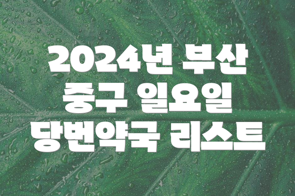 2024년 부산 중구 일요일 당번약국 리스트