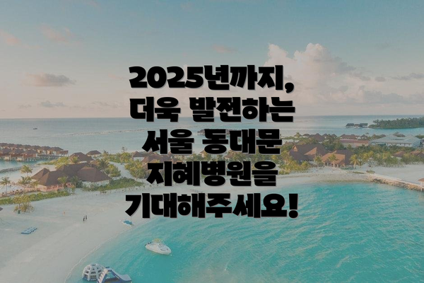 2025년까지, 더욱 발전하는 서울 동대문 지혜병원을 기대해주세요!