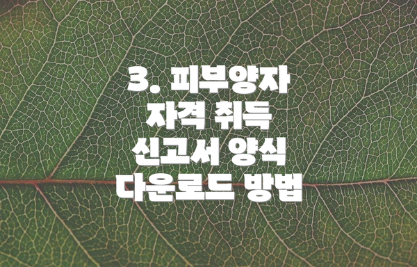 3. 피부양자 자격 취득 신고서 양식 다운로드 방법