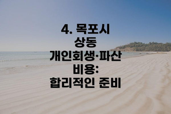 4. 목포시 상동 개인회생·파산 비용:  합리적인 준비