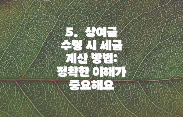 5.  상여금 수령 시 세금 계산 방법:  정확한 이해가 중요해요
