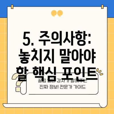 5. 주의사항: 놓치지 말아야 할 핵심 포인트