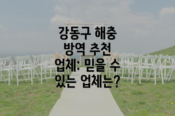 강동구 해충 방역 추천 업체: 믿을 수 있는 업체는?