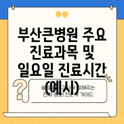 부산큰병원 주요 진료과목 및 일요일 진료시간 (예시)