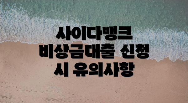사이다뱅크 비상금대출 신청 시 유의사항