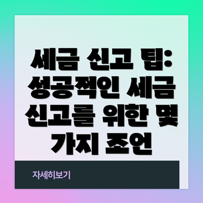 세금 신고 팁: 성공적인 세금 신고를 위한 몇 가지 조언