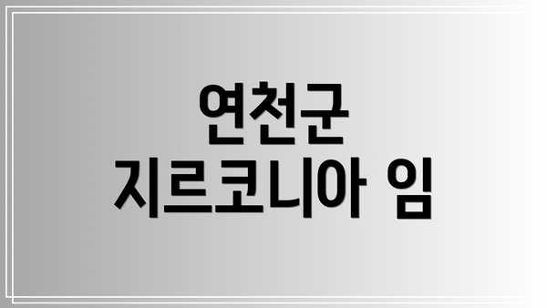 연천군 지르코니아 임