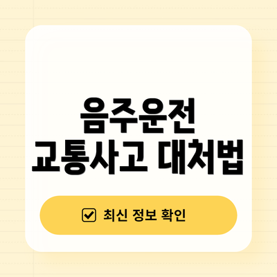 음주운전 교통사고 대처법