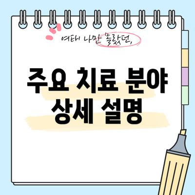 주요 치료 분야 상세 설명
