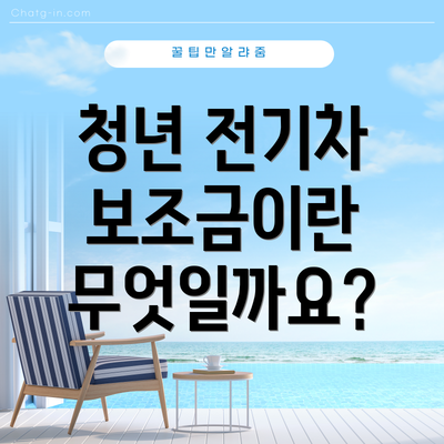 청년 전기차 보조금이란 무엇일까요?