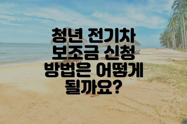 청년 전기차 보조금 신청 방법은 어떻게 될까요?