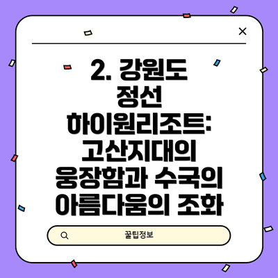 2. 강원도 정선 하이원리조트: 고산지대의 웅장함과 수국의 아름다움의 조화