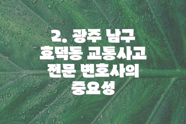 2. 광주 남구 효덕동 교통사고 전문 변호사의 중요성