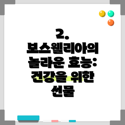 2. 보스웰리아의 놀라운 효능: 건강을 위한 선물