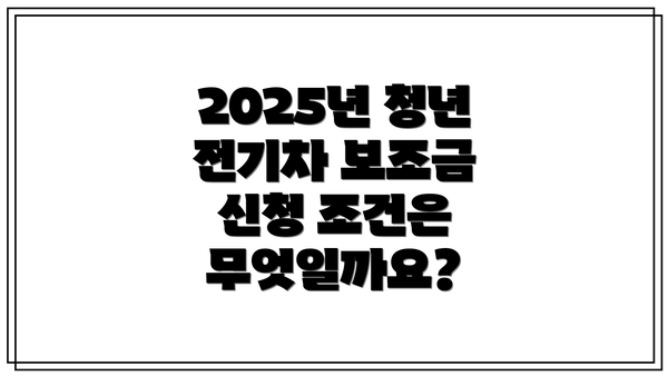 2025년 청년 전기차 보조금 신청 조건은 무엇일까요?